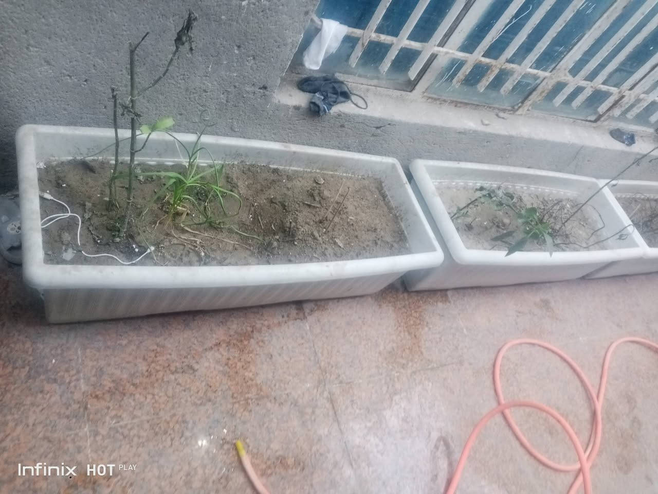 متاح سنادين لوحده ب 20 هيه وترابه ونبته وياها


**إذا كنت صاحب هذا الإعلان وتريد حذفه لأي سبب، رجاءا أرسل رسالة إلى الدعم الفني**