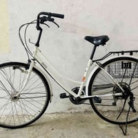 ياباني • قياس ٢٧ • كالار