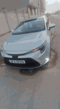 كورلا 24وارد امريكي مكفوله كفاله عامه تقرير مياه مطار شرط للدوس شرط فول ماعده الفتحه حره تحويل رقمها ذي قار ومكانها ذي قار مركز ماشيه 47 
رقم 
***********0
وذا اكو مراوس ترهم مراوس النتره فورتي 22وفوك
