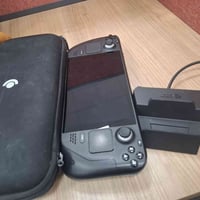ستيم • ديك • LCD