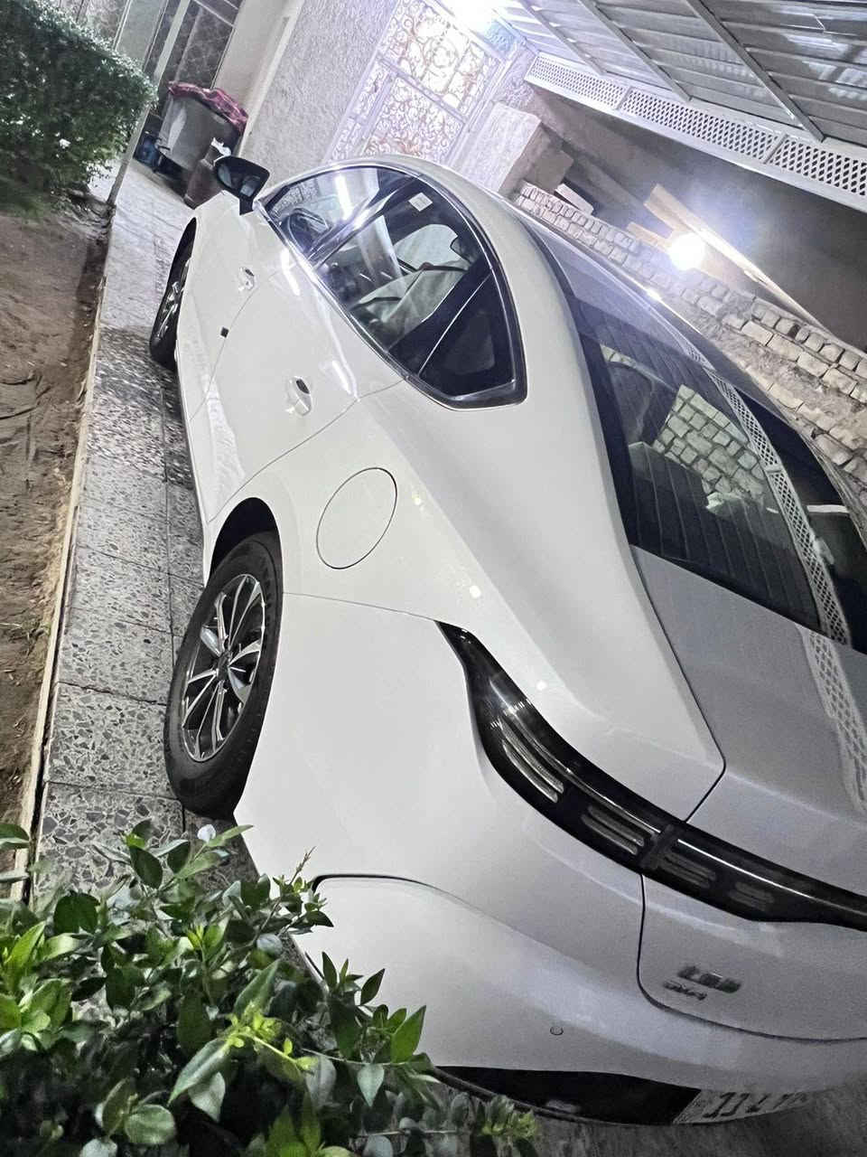 كل عام وانتم بخير جميعاً للبيع فقط بي واي دي دستروير جديده جدا مكفوله عام ماشيه 3500الكلي مدوشمه وكاعيات وبصمه وكارت سياره بحاله الوكاله تحويل مباشر رقم مميز 99668بغداد كفاله لابارد ولاشخط ولارصعه ولا اي ملاحظه مكان لسياره بغداد وسعر 20ومجالهه بسيط جدا ***********
