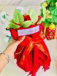 وشاح • هديّة شتوية • المحاويل