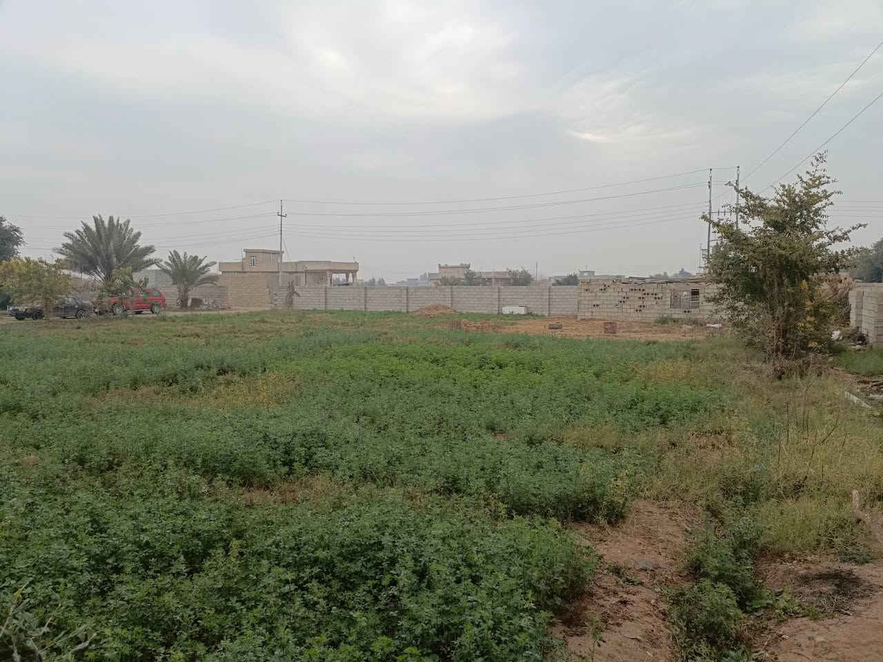 اسلام عليكم  متاح درا للبيع مساحة 2500متر واصلة كامل الخدمات 
حقلين بقر بيها +مخزن+   بير مي قطاس كامل مكمل +مي حلو واصصل  كامل 
مكان الدار قريت الربيضة
رقم الهاتف ‏‪***********‬‏
