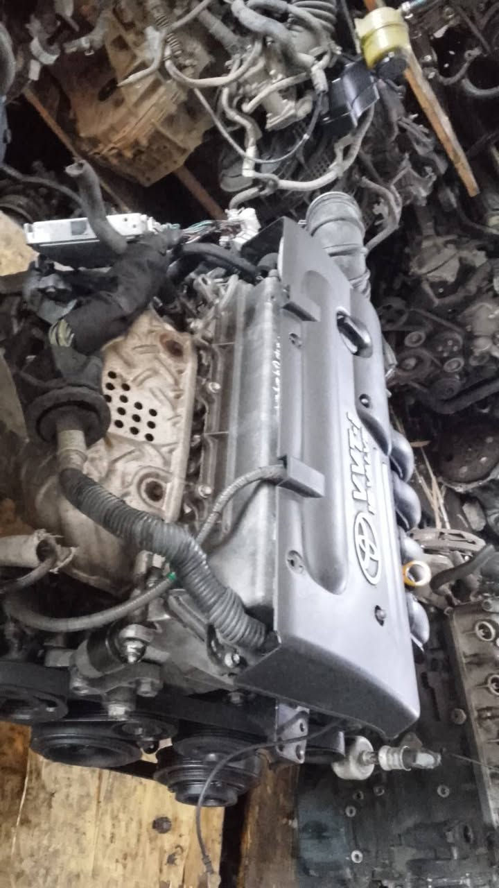 سلام عليكم ورحمة الله وبركاته يتوفر لدينا محركات السيارات اليابانية محرك كورلا نحلة+بيكاتشو 1800.1600

العنوان بغداد الطالبية ساحة 83 مجمع بغداد 

للتواصل الاتصال على هذا الرقم ***********

البيع جملة مفرد.
