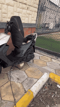 ماكس عدله مال لعب  مكينه بلاديه  دراجه خرسه مكينه خير من الله لأ نضوح ولا تبخير كابريتر بيهة بلادي صالنصه بلاديه ام حساس واقيه ملحه بيهة كلجات رياضي أصليات بجم اصلي سبايدر اصلي كشن مال أربع عالي نقصهة بس تاير ل امامي شويه تعبان مكاني البياع حي الجهاد السعر ٤٥٠ وبيهة مجال جماعت ل ٣٥٠ لحد يطب *********** بي وتساب
