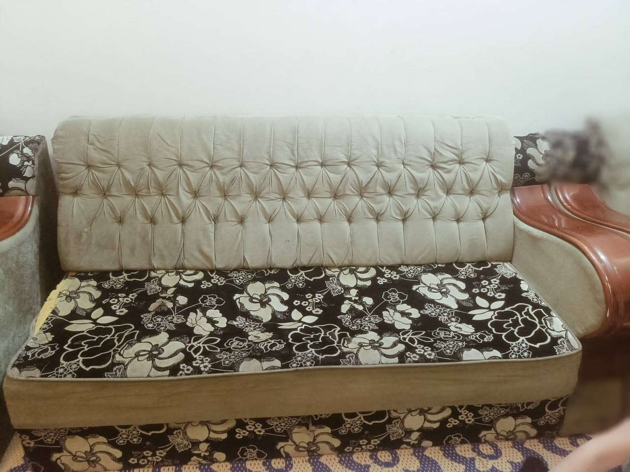 تخم خمس قنفات سعر 80


**إذا كنت صاحب هذا الإعلان وتريد حذفه لأي سبب، رجاءا أرسل رسالة إلى الدعم الفني**