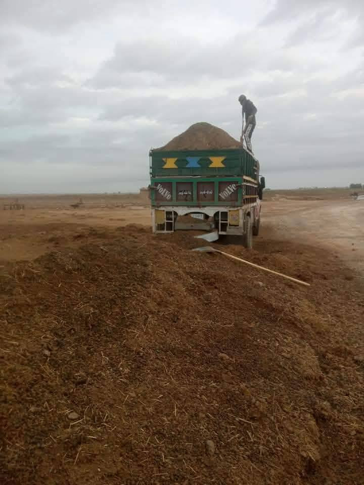 دمن غنم ودمن هوش وداجن كواني وفل توصيل لجميع بساتين ديالى وبغداد ***********
