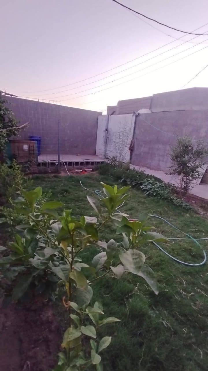 مكلف بالنشر 
بيت للبيع بناء جديد مساحة 250 متر واجهه 10متر ونزال 25متر في حي جابر الانصاري بيت جديد ونظيف متكون من كراج وحديقة + مطبخ + صالة كبيرة + غرفتين نوم + وخدمات داخلية وخارجية + ترك خلفي ع طول بيت + ترك جانبي + وتكدر تبني فوك ... للتواصل ع الرقم الشخصي ‏‪***********‬‏
