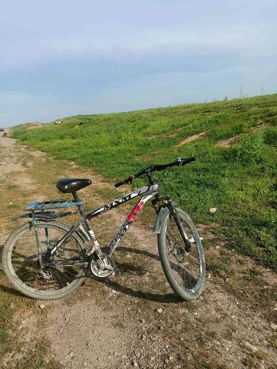 للبيع بي كيرين شغالات جوابه جدد بريك كدام ورا الورا دسك والكدام صينيه  ودبلات   مكاني بادوش تل الريس قرب صيدلية فهد سعود وصيدلية المنذر  اي استفسار على الخاص


**إذا كنت صاحب هذا الإعلان وتريد حذفه لأي سبب، رجاءا أرسل رسالة إلى الدعم الفني**