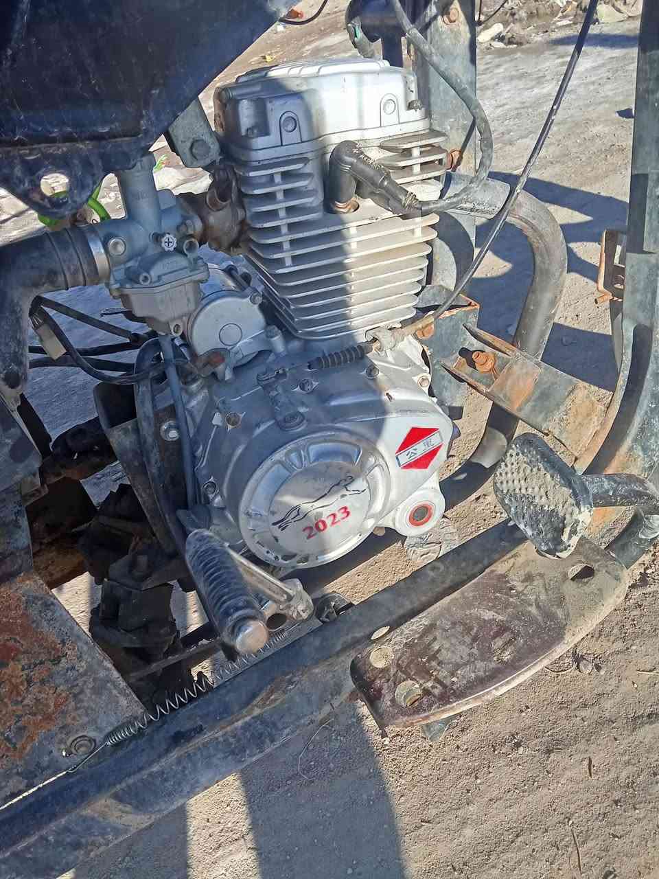 *********** شباب ستوته للبيع 2015
