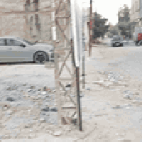 البوبيات • بيت هيكل • ٥٠م