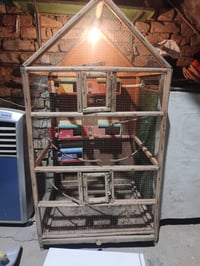قفص طيور • طيور حب • بغداد