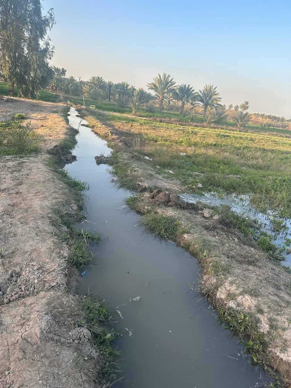 سلام عليكم 24دونم ملك صرف بسم شخص واحد تحويل مباشر بستان عباره عن مزرعه من بحيرات اسماك ونخيل وزرع وبيت ستراحه شي خبل بل عافيه عل ياخذه تنباع شلع سعر دونم 72وبي مجال بابل طريق القاسم الستفسار مراسلت الصفحه ونتصال ***********
