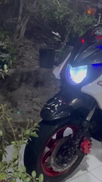 سكنس جبلي • فحل • مكينه ناعمه