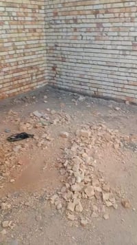 هيكل البيع الحميديه شارع المسبح رقم الهاتف/07783322163