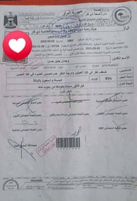سيارة • أوراق • الناصرية