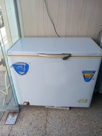 مجمدة للبيع درجة اولى شرط التجميد السعر ٢٥٠  07700487201