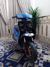 سكنس فحل • مكفوله • معدل