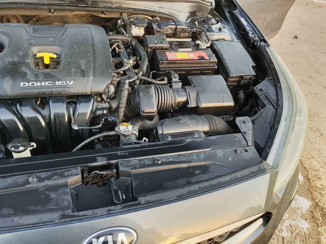 رمضان مبارك عليكم فورتي 2021 بغداد باسمي حادثه خلفي جاملغات وجنطه مصلحه وارد أمريكي تخم تاير وبطارية ودوشمه وكاعيه وجامه اماميه جدد سنويه 2028 محرك دوش بي تبخير كير مكفول وصدر السعر115 وبي مجال مكاني الكرخ للتواصل واتس اب ***********
