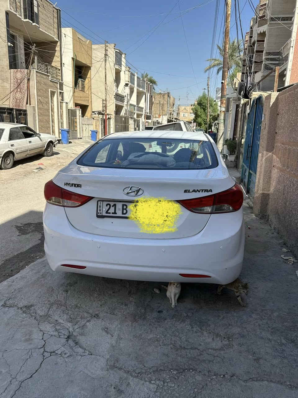 ‏ترى 12 خليجي السعر 113 الرقم سليمانية السيارة حاليا بغداد***********
