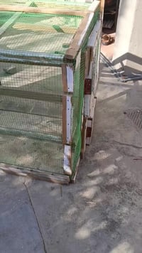 قفص • ٤٠ • بي مجال