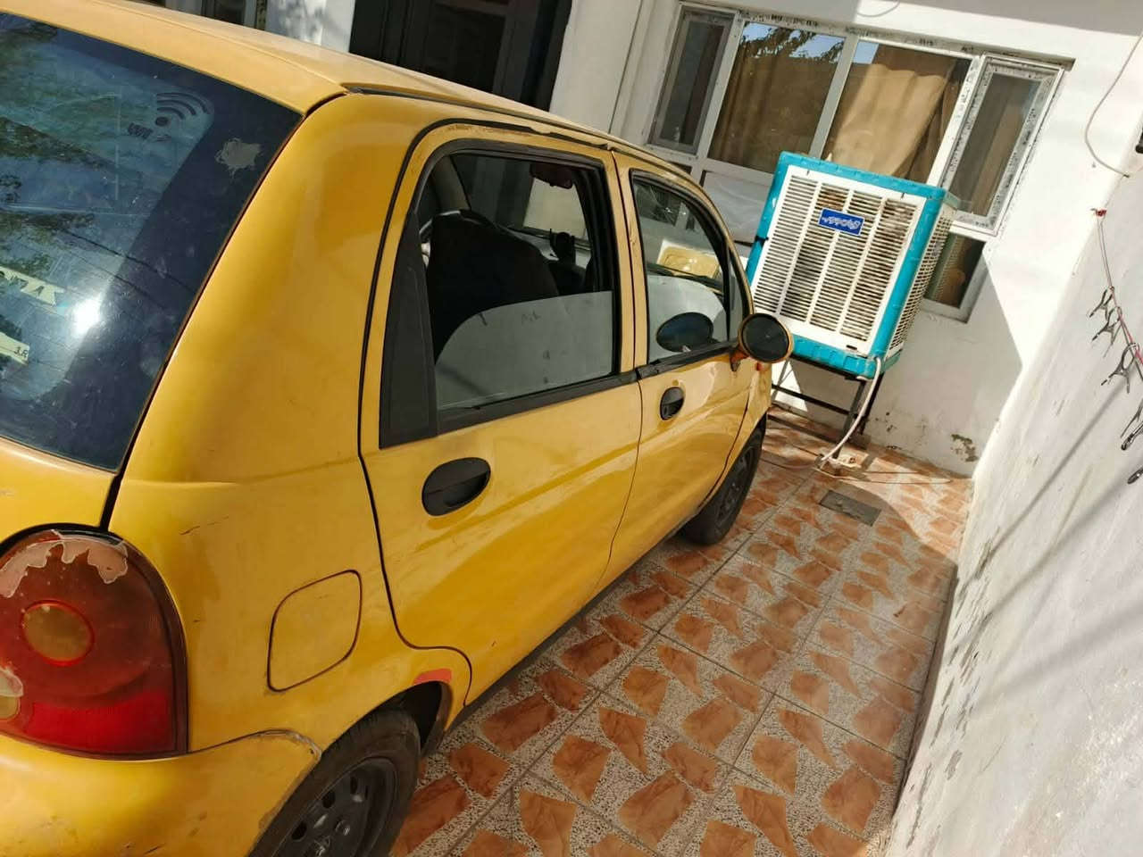 کوکو للبیع   اومرواس    *********** كركوك, العراق
