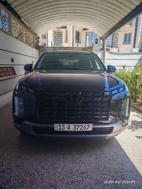 بليسايد ٢٠٢٤ • فل اوبشن • وارد امريكي