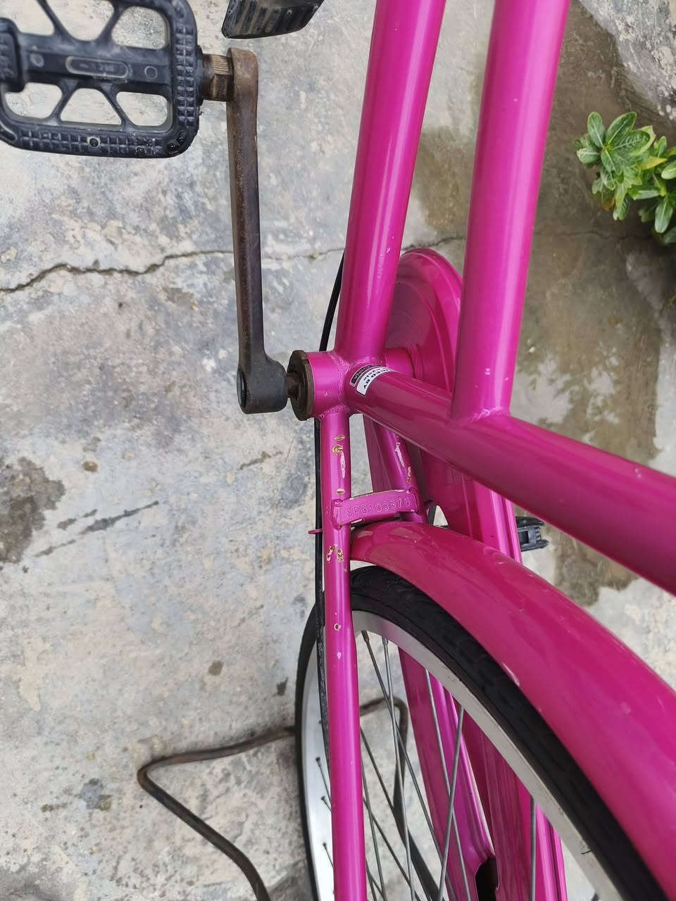 مكاني كربلاء نطي سعرك وخذه


**إذا كنت صاحب هذا الإعلان وتريد حذفه لأي سبب، رجاءا أرسل رسالة إلى الدعم الفني**