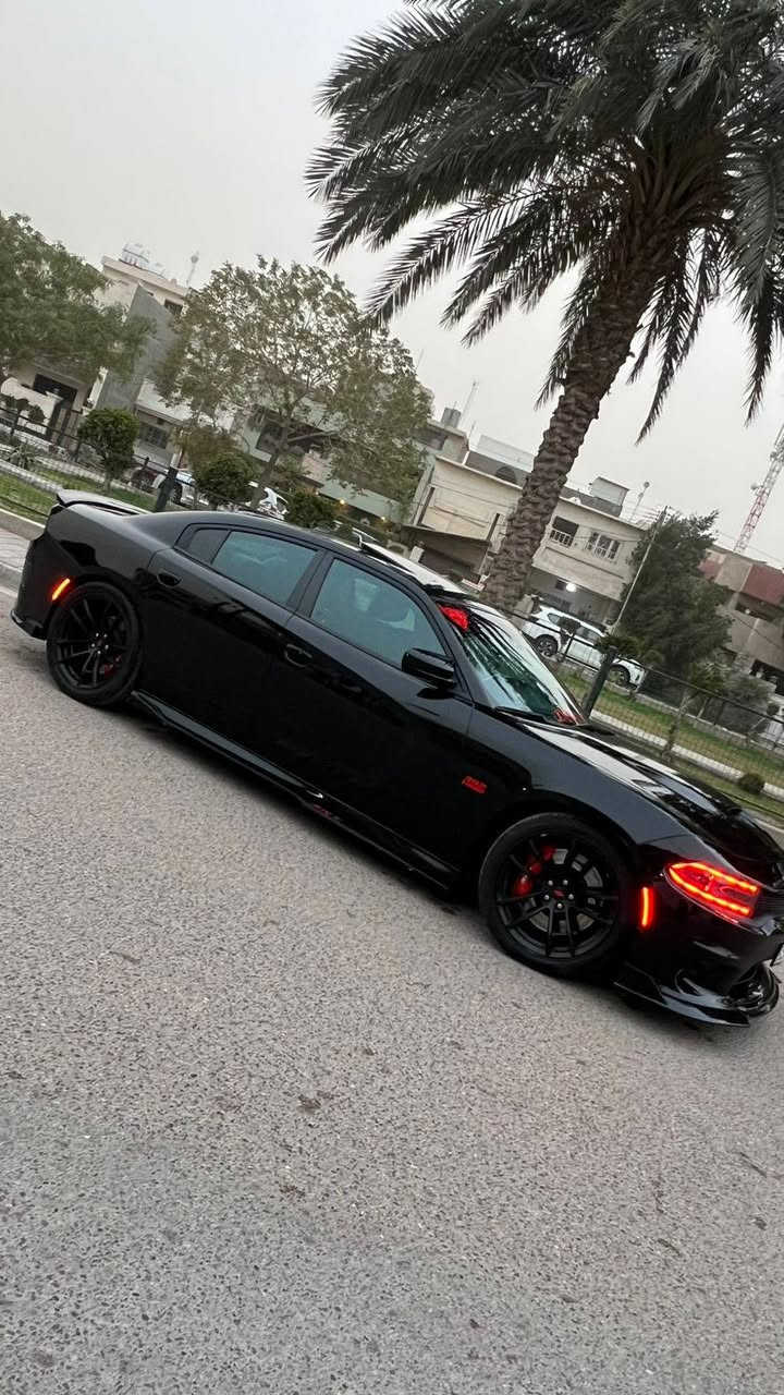 جارجر rt max 2023

*قبل كلشي .. حلالي عندي وفلوسك عندك .. تشوفهة غالية انشالله تلگة الاحسن والارخص منهة وربي يوفق الجميع ..

جارجر rt max 2023 فول مواصفات للاخير شنو بالك مواصفة بيهة..

*ركز بالموديل والحادث والمواصفات والتزويد وبالمشي ..
*المشي 31 الف كيلو وليس ميل ..

*السيارة كفالة عامة من الصبغ والبارد والتدبل وحتى من الشخط" الحادث فقط جاملغ امامي ايسر ومبدل نفس اللون "  بدون دواخل بدون ايرباك بدون شاصي ..

"رادار امامي "نقطة عمياء " فتحة " كشنات كنتارا " كشنات الامامية تدفئة تبريد وكهرباء " خزن كشن السايق " مري قلاب وية البگ " حتى سستم الصوت هارمن كاردن وهذا السستم قليل يجي بال5700 “ بطاين ودشبول جلد .. وباقي المواصفات المعروفة ..

*الاضافات والتزويد :
1-هدرز لونگ تيوب JBA 
2-داون پايب ستل ستيل شغل علي الوادي
3-اكسل قفل LSD 3.09
4-شوتة afe مغلقة
5- كاچ كان K&N امريكي اصلي 
6-منظومة بربك برمبو 6 بستم
7-عينة حمرة مال هيلكات عداد 200
8-درگة(كنتارا) تجي بالهيلكات ريد آي والجلبريك
9-بصمة تشغيل هبلكات حمرة (بالدشبول)
10-دواخل الياف كاربون طافي (دشبول وگير)
11-اوراكل متغير مازدات
12-سستم انارة داخلية محيطية
13-مغلفة ppf بالكامل ضمان عشر سنوات
14-فلاتر التبريد والدهن اصلية من شركةK&N
15-كبسولة ايرباك ضوئية تجي بالريد آي والجلبريك

*السيارة مفتوح عقلهة ومبرمجة يم مصطفى إيگل 
*حدادية وتخم تاير كلة جديد
*ملاحظة / السيارة مانازلة اي استعراض

رقم صاحب سيارة ***********
