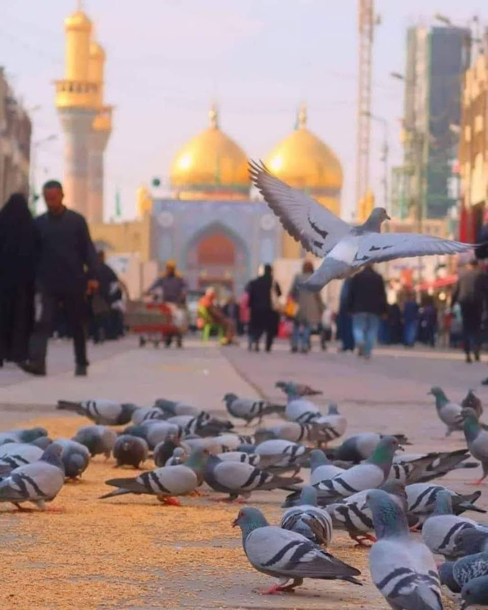 السلام عليكم سوف تنطلق حملة ام البنين (ع) لزيارة العتبات المقدسه الى👈#الكاظميه_المقدسه مرقد الامام موسى ابن جعفر (ع) 

غداً السبت المصادف 1/10

وقت الانطلاق (ساعه ب 3 ظهراً) سعر النفر 3.000 الف #مرجع

⭕#ملاحظه السيارة تجيكم الاقرب نقطه داله عليكم ومن الله التوفيق 

للحجز أو الأستفسار :

*********** ابو حسن الخفاجي واتساب
