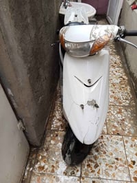 عصفوريه للييع مجنحه السعر 200 وبي مجال شويه رقمي 07750702376