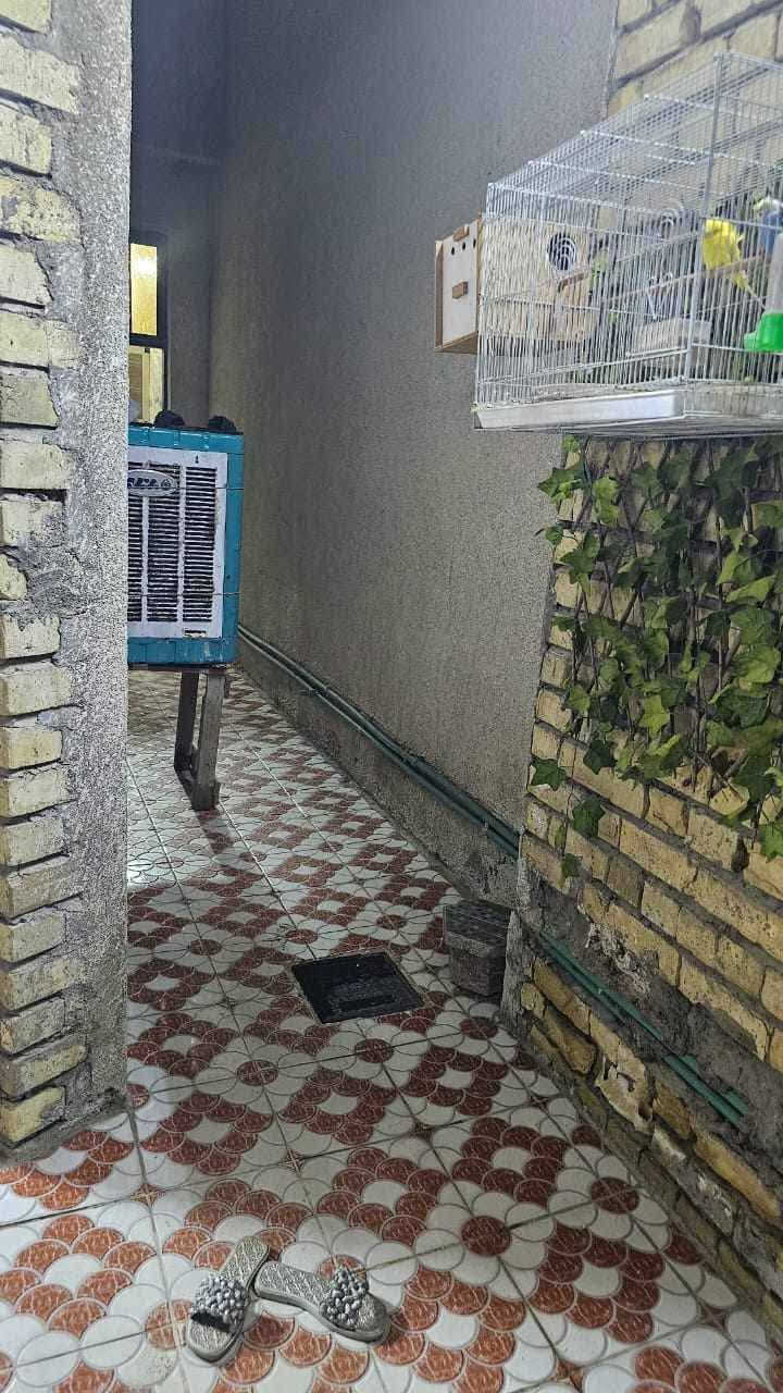 اريد ابيع هوة والاثاث ب٢٧٥ اراوس عادي بلعامريه بلغزاليه بسايدين شارع قاسم نافوره قطعه بيت طركاعه اي شي ***********
