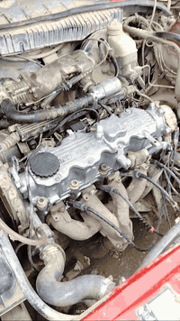 فيكترا • سنوية ساقطة • فحص كركوك