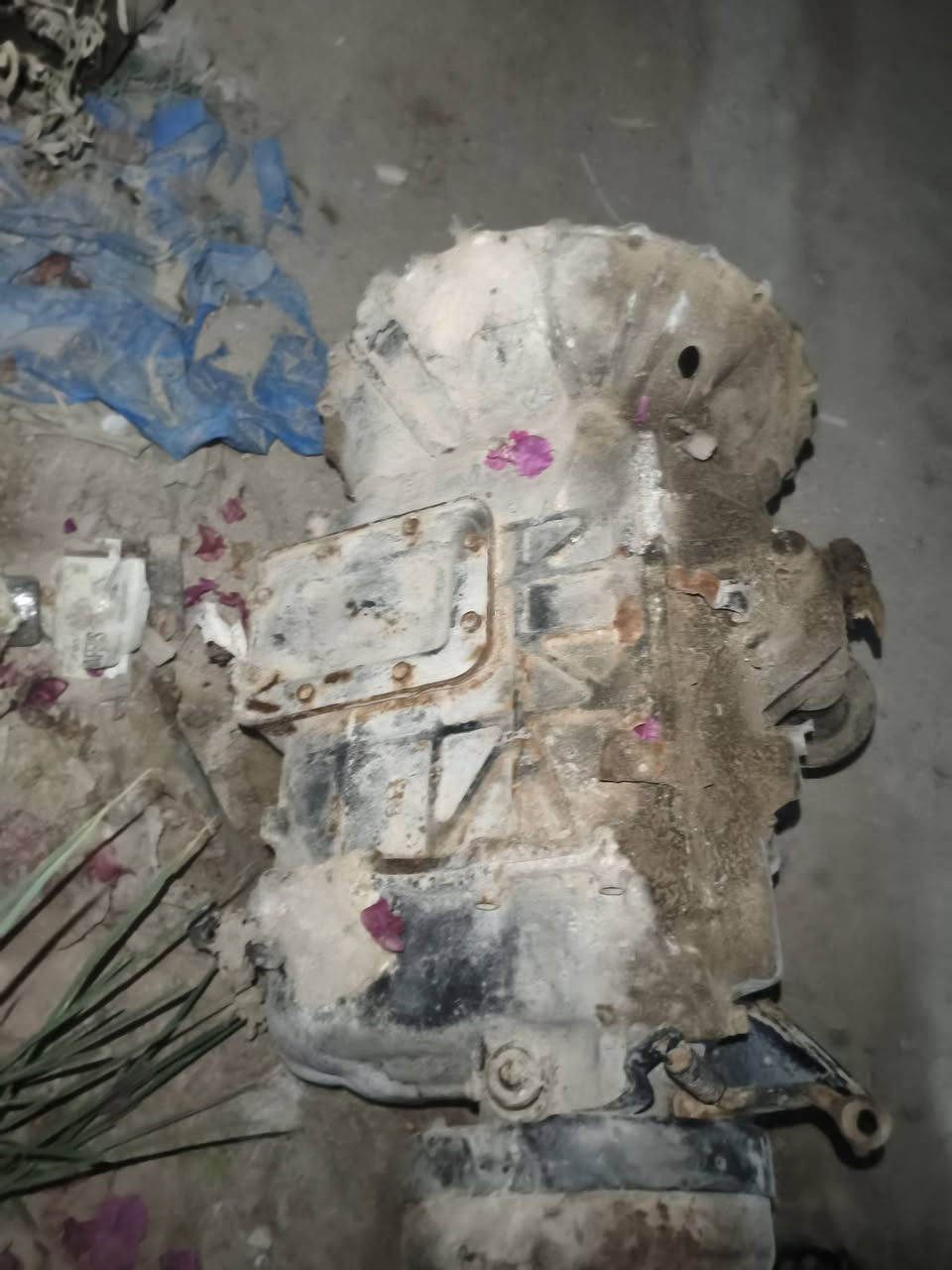 سلام عليكم اكسن مال ازوزه وكير مال ازوزه شرط الفحص برغي مامفتوح شرط سبانه ماملعوب بيهن رقم ***********

