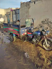 ستوته • مديل ١٨ • مكفولة