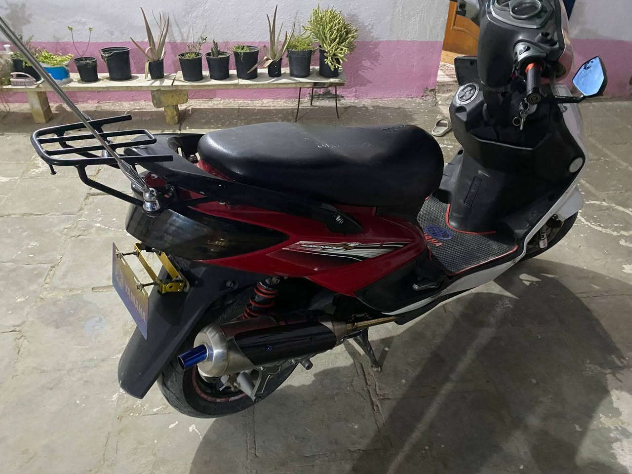 سكنس فحل دراجه حاويه ماعايزه برغي مكاتبت وكيل موجوده محرك كفاله سعر اتصل وتدلل ***********
