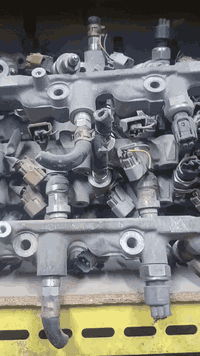 نوزلات ملكه دي فور  نضافه ١٠٠٪  السعر بلاش 20 الف  جوه الجمله سعر جوزه...