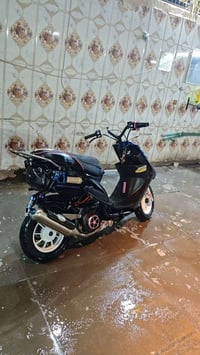 ماكس عدله • مجال