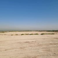 الاستثمار الصحي كيف تصنع الاموال في وقت الازمات بطريقة احترافية وتستثم...