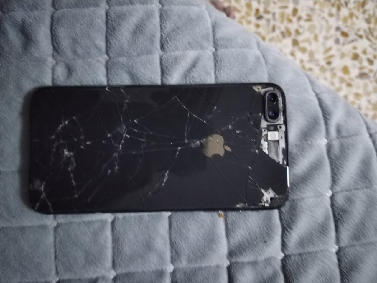 ايفون8بلص
ذكره64
بطاريه100 
ضهر مفطور +كمرات خلفي عاطله
سعره65قفل


**إذا كنت صاحب هذا الإعلان وتريد حذفه لأي سبب، رجاءا أرسل رسالة إلى الدعم الفني**