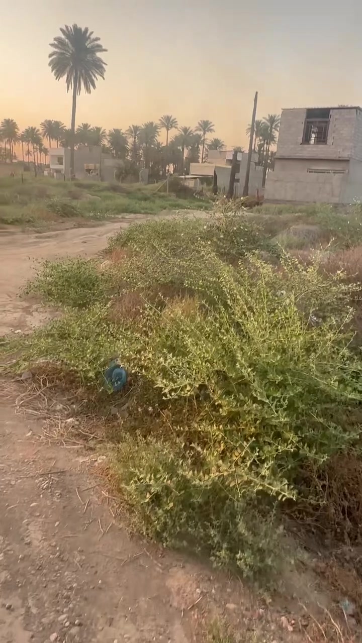 يا الله قطعة ارض للبيع مقابيل الجزيرة شارع الجم القطعة تصير خمسينات ٣ الوجهة ٧/٥٠
***********
