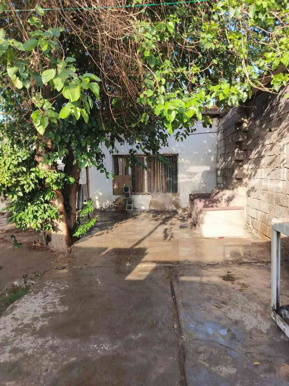 بيت تجاوز للبيع المكان حي العامل 801 غرفه صاله مطبخ ترك خلفي وجانبي حديقه كبيره كراج سيار
***********اي ازاله ماكو منطقه حلوه وهادئة
بيت تجاوز للبيع المكان حي العامل 801 غرفه صاله مطبخ ترك خلفي وجانبي حديقه كبيره كراج سياره 
بيت تجاوز للبيع المكان حي العامل 801 غرفه صاله مطبخ ترك خلفي وجانبي حديقه كبيره كراج سياره
