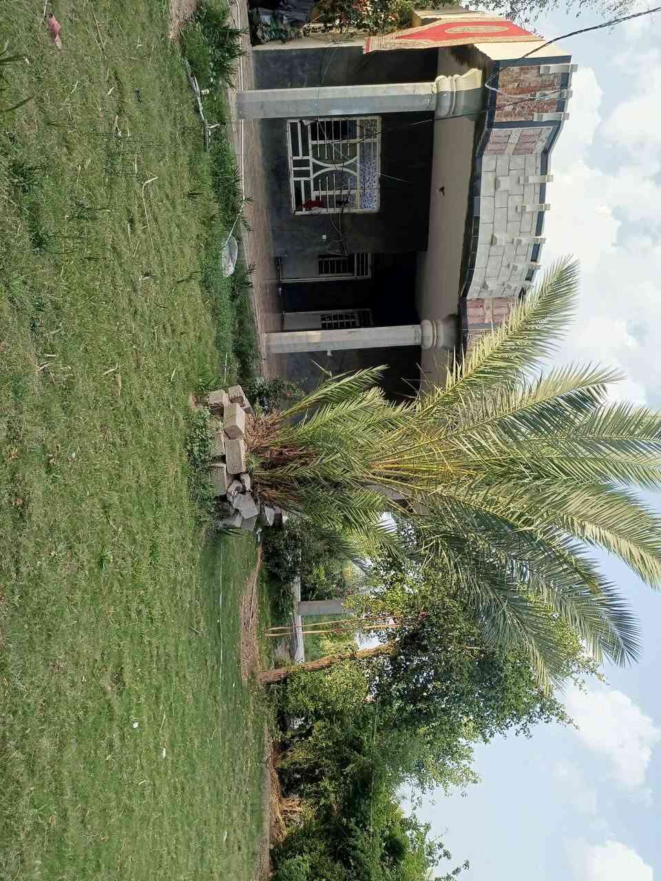 سلام عليكم اخوان للبيع ارض زراعيه المساحه دونم ونص وبيها بيت حديث البناء جنس العقار عقد١١٧مسيجه متكامله الخدمات من ماء اساله +ماء السقي مدارس علا شارع التبليط للباب تبعد.عن السوق خمس دقائق العنوان بغداد ابو غريب شارع التله والمعلومات اكثر توضيح اتصل ***********بيه واتساب
