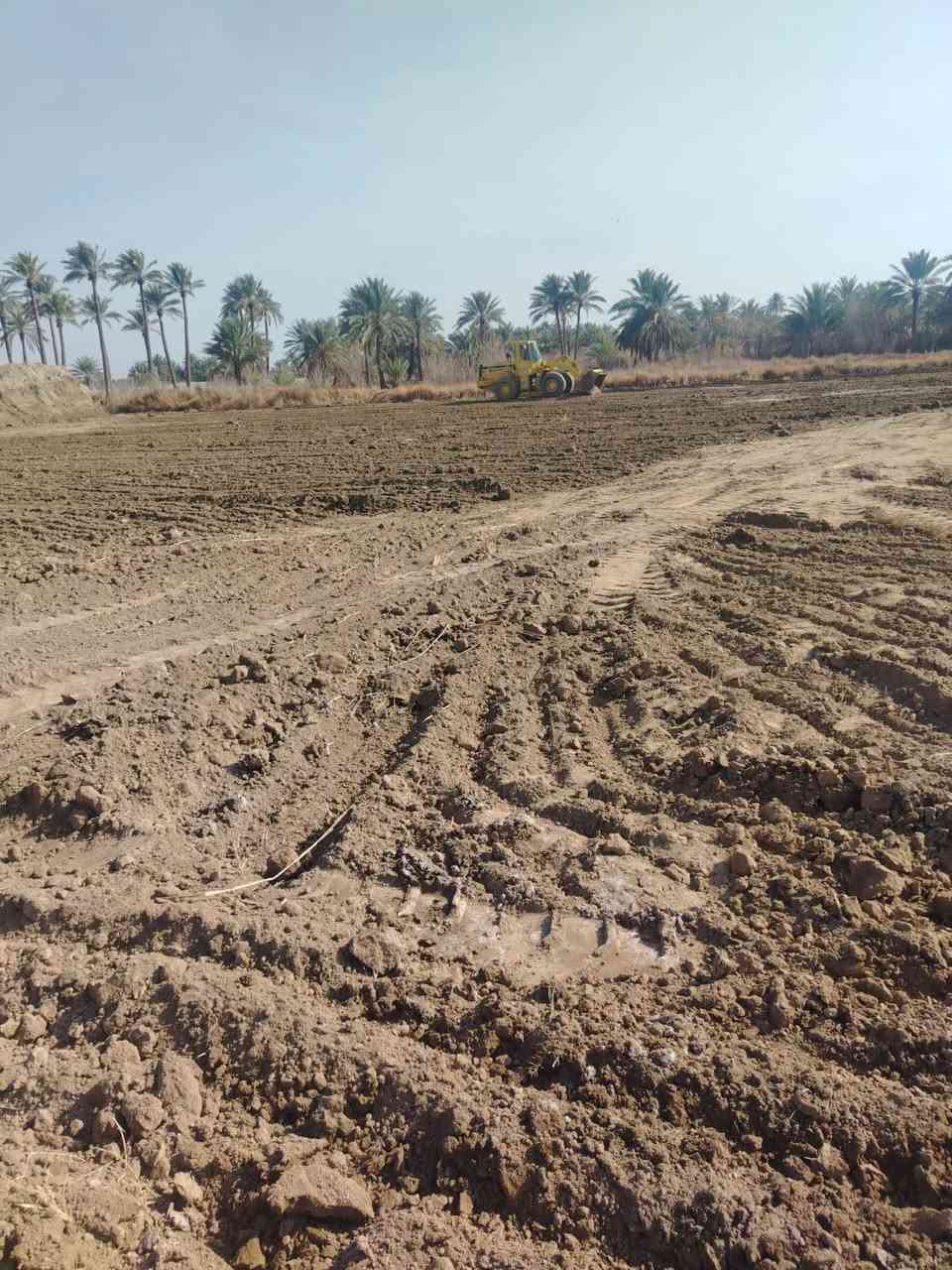 السلام عليكم أرض للبيع المساحة 5600/ متر 
طابو زراعي سند 25 تحويل مباشر بأسم المشتري 
موقعها / طريق حله ديوانيه / قرب شركة الرنا 
٦٥٠ متر عن الشارع العام وعن التبليط الفرعي ١٥٠ متر 
واجهة الأرض 70/ متر النزال 80/ متر 
متوفره بيها جميع الخدمات 
كهرباء /ماء اساله / ماء سقي  
سعر الدونم / 75 
للاستفسار / ***********
