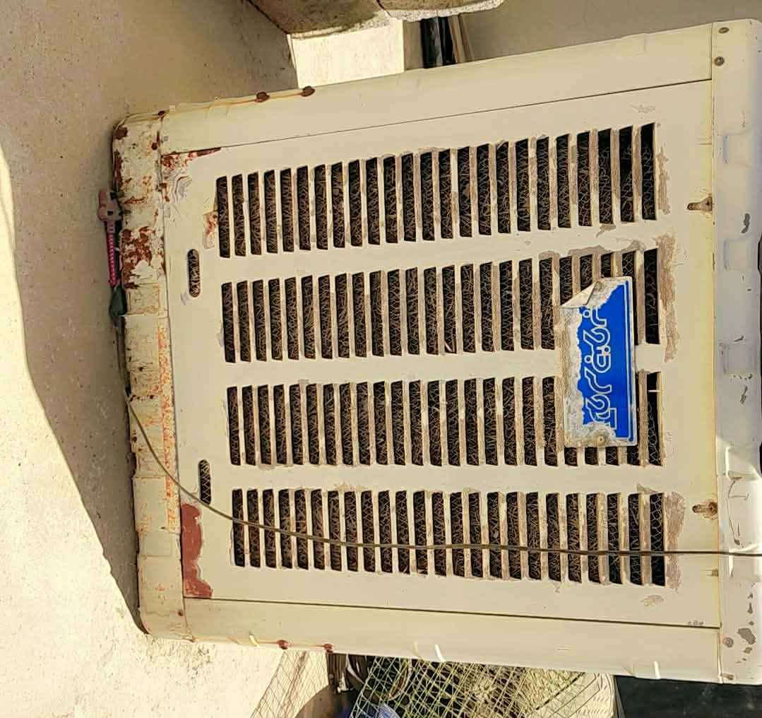 ‎مبرده شغاله ايرانيه 
***********‎ موصل, نينوى
