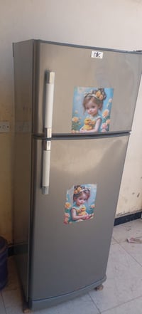 ثلاجه • شغاله • تجميد