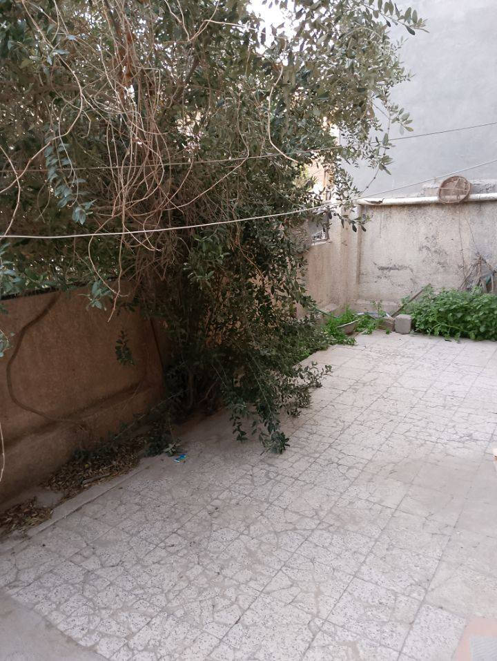 السلام عليكم بيت للبيع بسعر مناسب في منطقة شهداء البياع محلة 869 البيت مسلح يحوي اربع غرف نوم كبيرة وهول وصالة كبيرة جدا الصحيات عدد ثلاثة علما أن مساحة الدار 200 متر مربع الواجهة 10 ونزال 20 و الدار فلان جاهز للسكن و الشارع نضيف جدا الاستفسار *********** الاتصال
