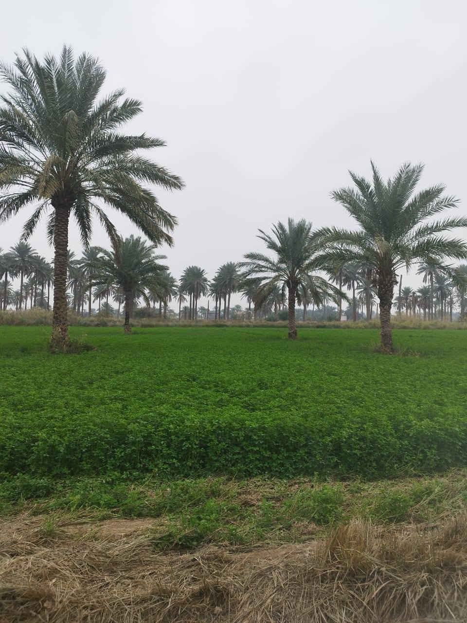 السلام عليكم دونمين للبيع المدائن منطقة الجعارة طابو ملك سند 25 قريبه عله الشارع للاستفسار الاتصال على الرقم ***********
