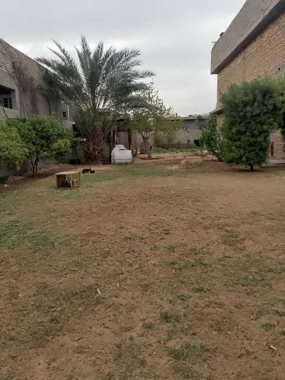 السلام عليك. كاع 300متر العنوان الحعاره مقابل معمل الغاز  مي كهرباء كله متوفر شارع تبليط الشراي يتصل متوفر علا الصفحه متوفر واتساب ***********
