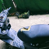 دراجة نارية • عطل كبريتر • قضاء النصر